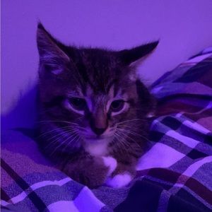 Meet your Posher, Georgia